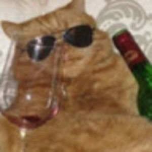 Meet your Posher, Rose